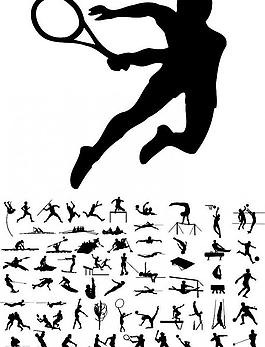 伦敦奥运马术冠军与爱马同日安乐死：二十载相伴书写辉煌传奇